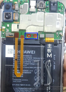 fcc045cf5bc34de19896eaf4e4c05710ce16ef09 (1).jpg