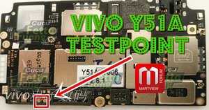 VIVO Y51-A.jpg
