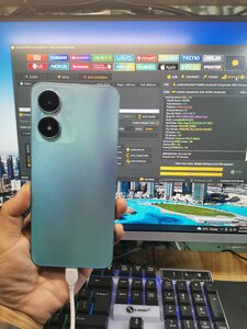 vivo.jpg