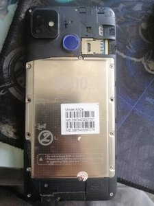 302442247_1233310253896821_1120507756247562291_n.jpg 302442247_1233310253896821_1120507756247562291_n.jpg