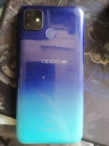 302651544_640237680793730_5985301953323947866_n.jpg 302651544_640237680793730_5985301953323947866_n.jpg