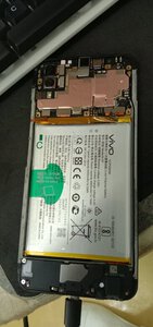 IMG_20221007_140620.jpg
