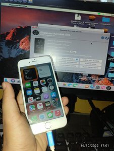 IMG_20221016_170121.jpg