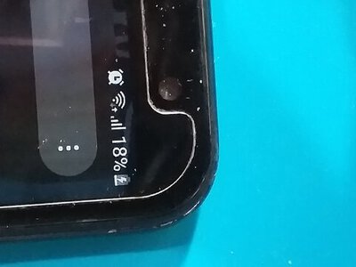 p3.jpg