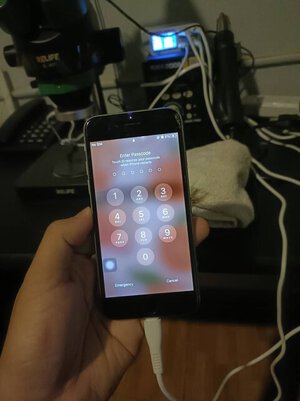 315097224_2649783981825288_1010368849832419922_n.jpg