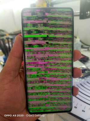 IMG20221128113712.jpg IMG20221128113712.jpg