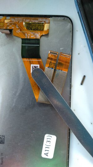 IMG_20221203_122025.jpg