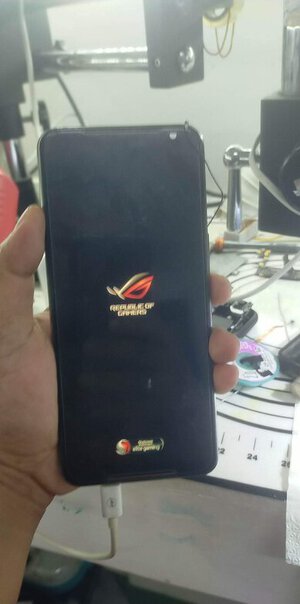 received_538274601478744.jpeg