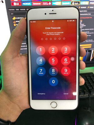 320676837_528169162591626_7386513177053233432_n.jpg