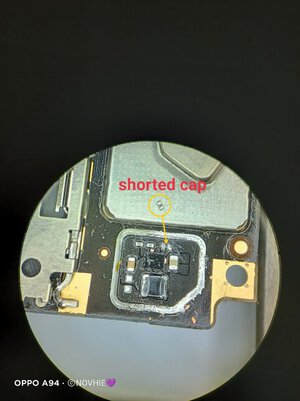 IMG_20221228_062838.jpg