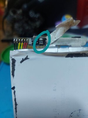325510661_734521397834512_8019183864109178475_n.jpg