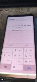 329425938_919493209195264_2434539584869901056_n.jpg