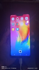 vivo.jpg