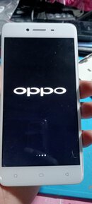 332269975_9769197763105785_4434127066649538352_n.jpg 332269975_9769197763105785_4434127066649538352_n.jpg