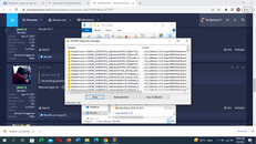 Screenshot (13).png