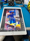 332904523_645624804035462_2733029628604820280_n.jpg 332904523_645624804035462_2733029628604820280_n.jpg