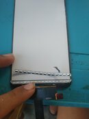 IMG_20230310_165339.jpg IMG_20230310_165339.jpg