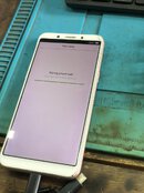 336618371_3534105793537867_2425416406742749115_n.jpg 336618371_3534105793537867_2425416406742749115_n.jpg