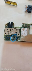 IMG_20230328_101345_edit_235515076975000.jpg IMG_20230328_101345_edit_235515076975000.jpg