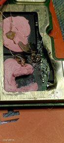 IMG_20230420_102136.jpg IMG_20230420_102136.jpg