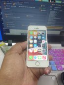 IMG_20230503_140021.jpg