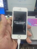 IMG_20230503_133854.jpg