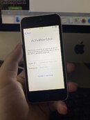 IMG_2509.jpeg