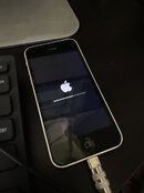 IMG_2513.jpeg