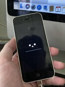 IMG_2539.jpeg