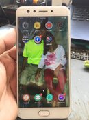 IMG_4079.JPG IMG_4079.JPG