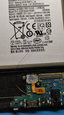 IMG_20230729_165142.jpg
