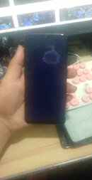 received_264134816334572.jpeg received_264134816334572.jpeg