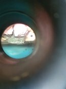 IMG_20230806_114419.jpg