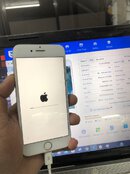 IMG_3501.jpeg
