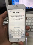 IMG_3502.jpeg