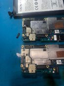 IMG_0386.jpeg IMG_0386.jpeg