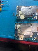 IMG_0384.jpeg IMG_0384.jpeg