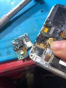 IMG_0383.jpeg IMG_0383.jpeg