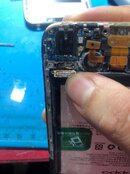 IMG_0382.jpeg IMG_0382.jpeg