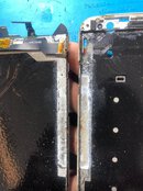 IMG_0379.jpeg IMG_0379.jpeg