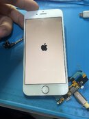 IMG_0404.jpeg