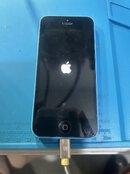 IMG_0431.jpeg IMG_0431.jpeg