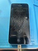 IMG_0432.jpeg IMG_0432.jpeg