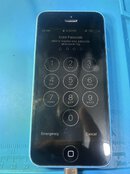 IMG_0433.jpeg IMG_0433.jpeg