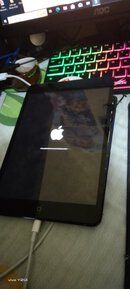 IMG_20231002_172334.jpg