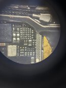 IMG_0648.jpeg