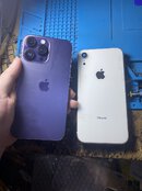 IMG_1083.jpeg