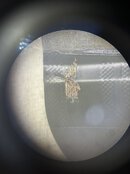 IMG_0807.jpeg IMG_0807.jpeg