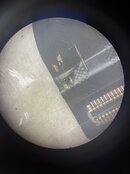 IMG_0810.jpeg IMG_0810.jpeg