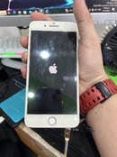 IMG_0905.jpeg
